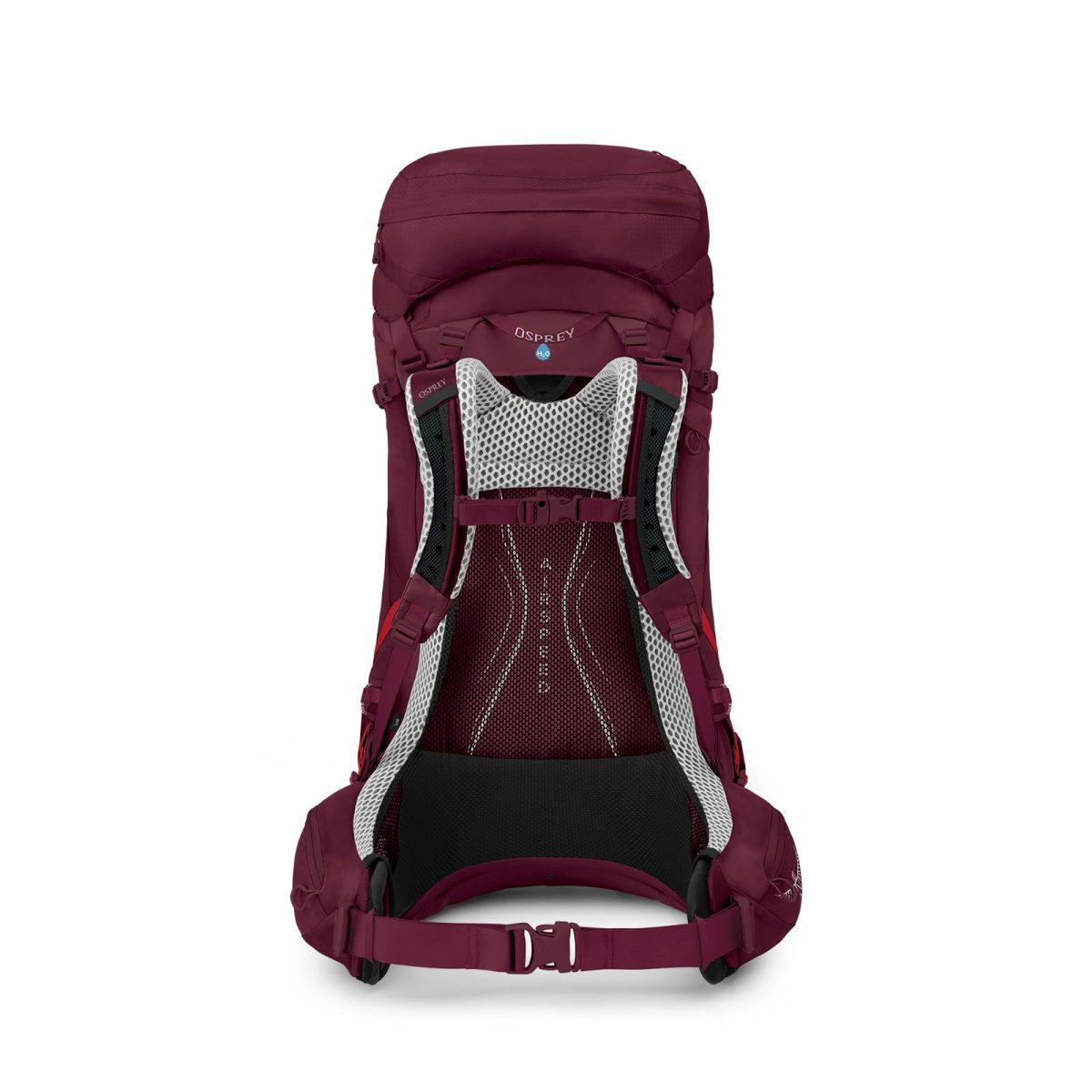 Aura AG LT 50