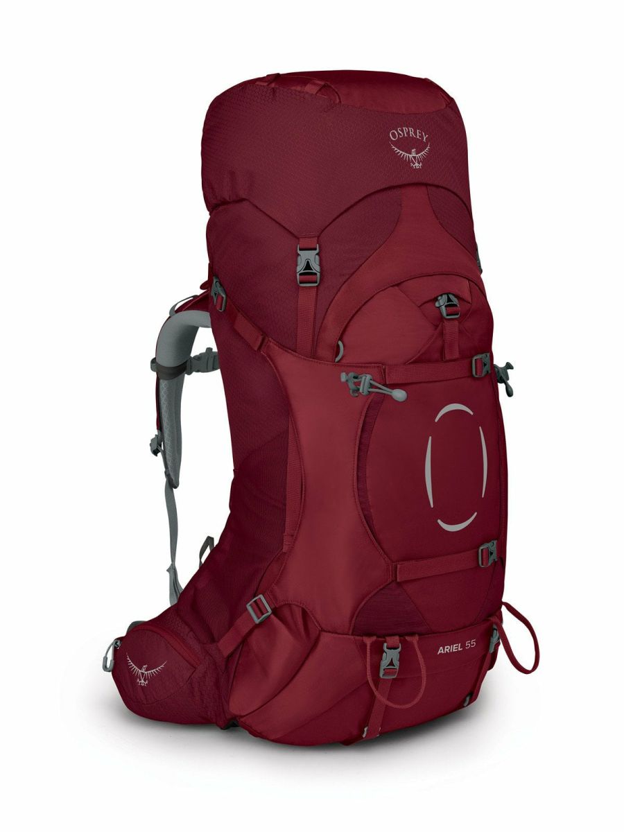 Ariel 55