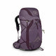 Purple Dusk