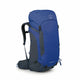 Rays Blue