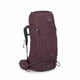 Elderberry Purple