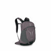 Graphite Purple