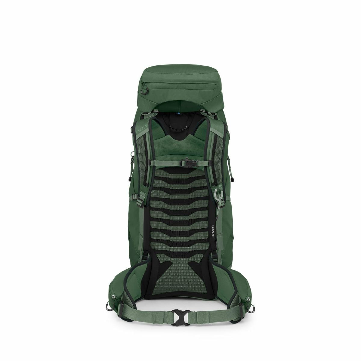 Talon™ 44