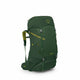 Green Canopy/Matcha Green