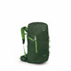 Green Canopy