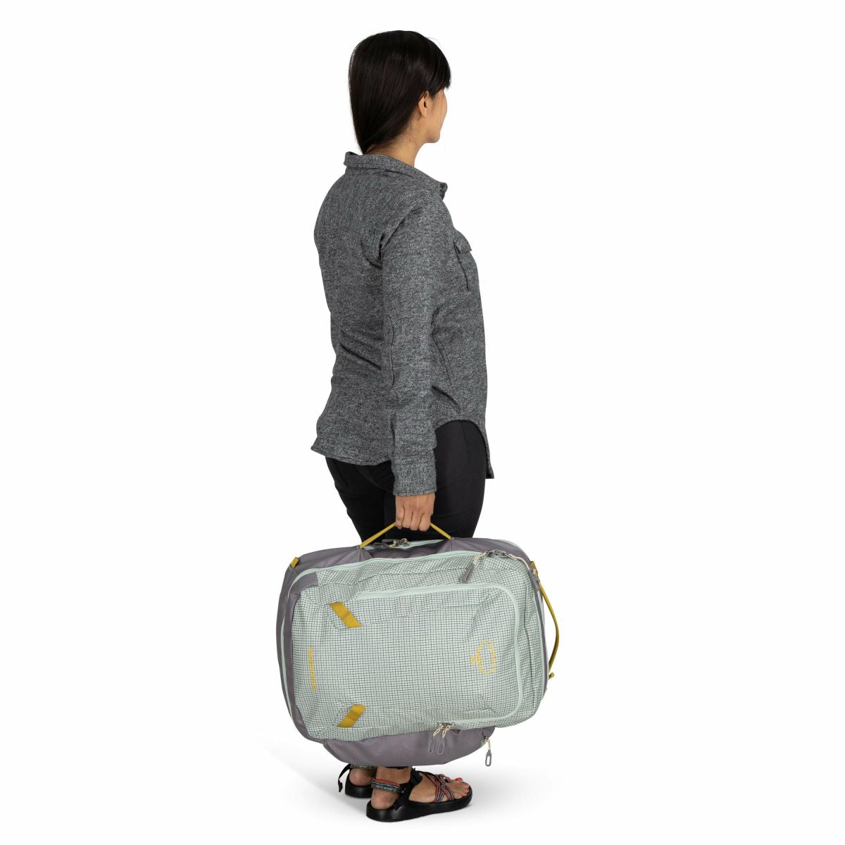 Transporter™ Travel Pack 36