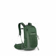 Green Canopy/Pine Leaf