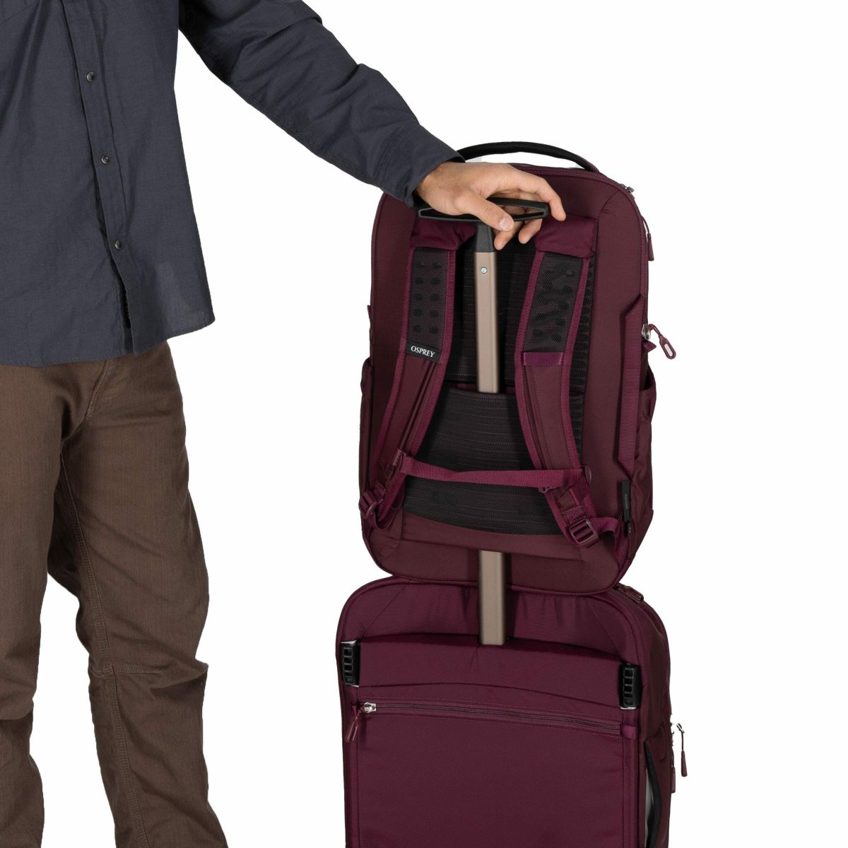 Ozone Laptop Travel Backpack