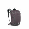 Graphite-Purple Heather