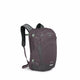 Graphite-Purple Heather